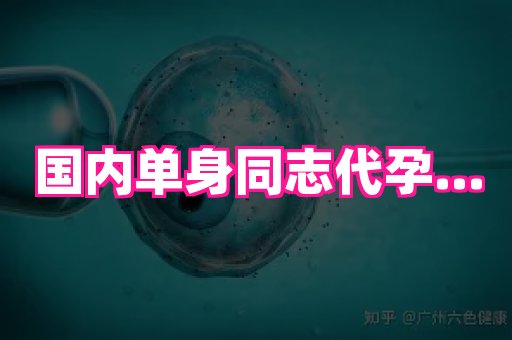江苏助孕网 4